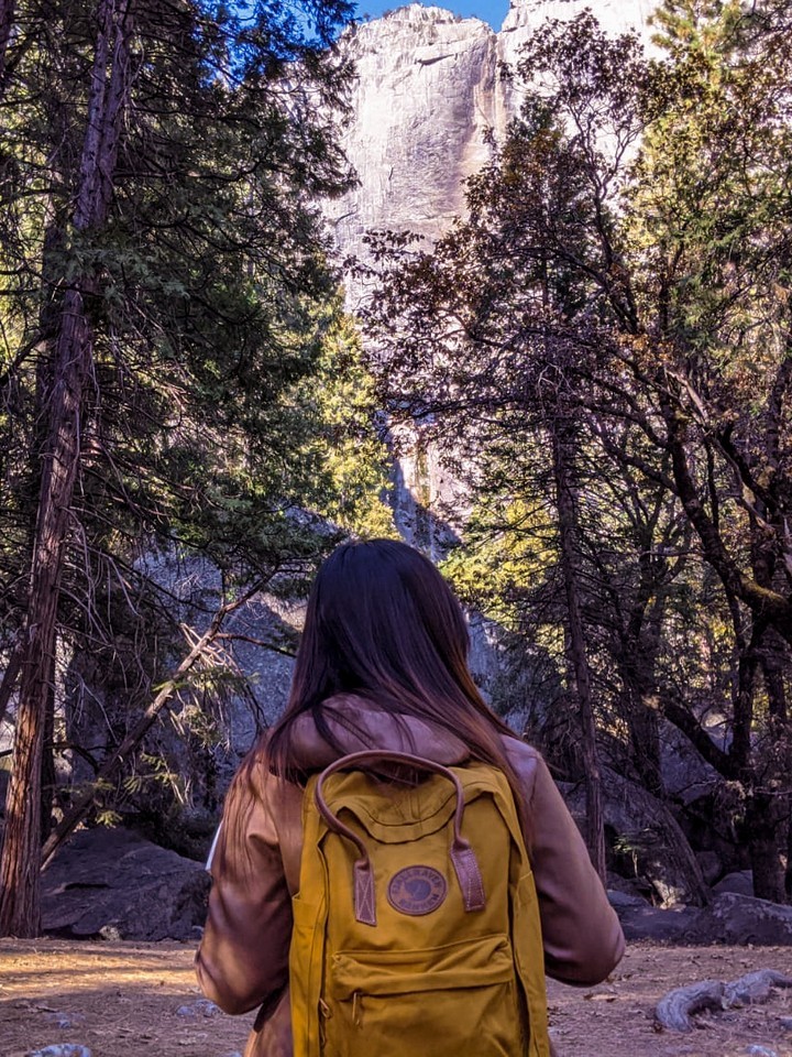 Photo Diary: Of crimson and gold (Yosemite,&nbsp;CA)