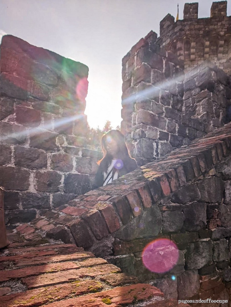 Photo Diary: Tasting Notes (Napa,&nbsp;CA)