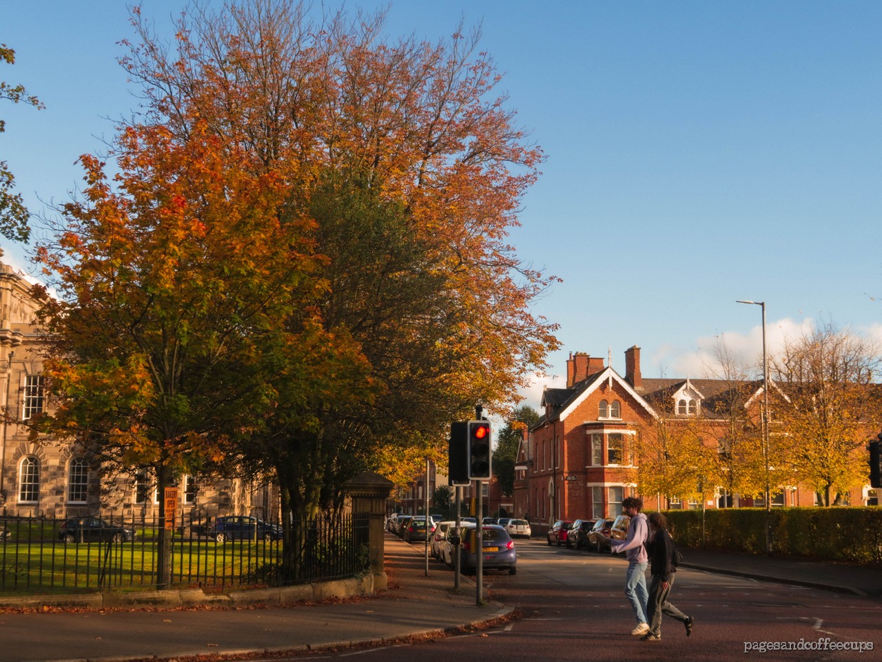 Photo Diary: Random Autumn Walks – Pages and Coffee Cups