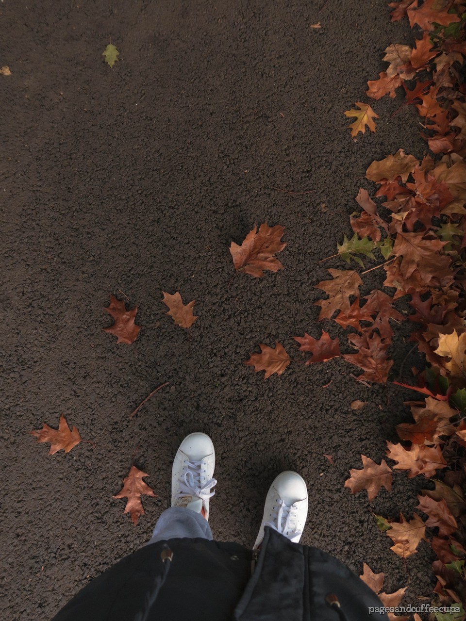 Photo Diary: Random Autumn Walks – Pages and Coffee Cups