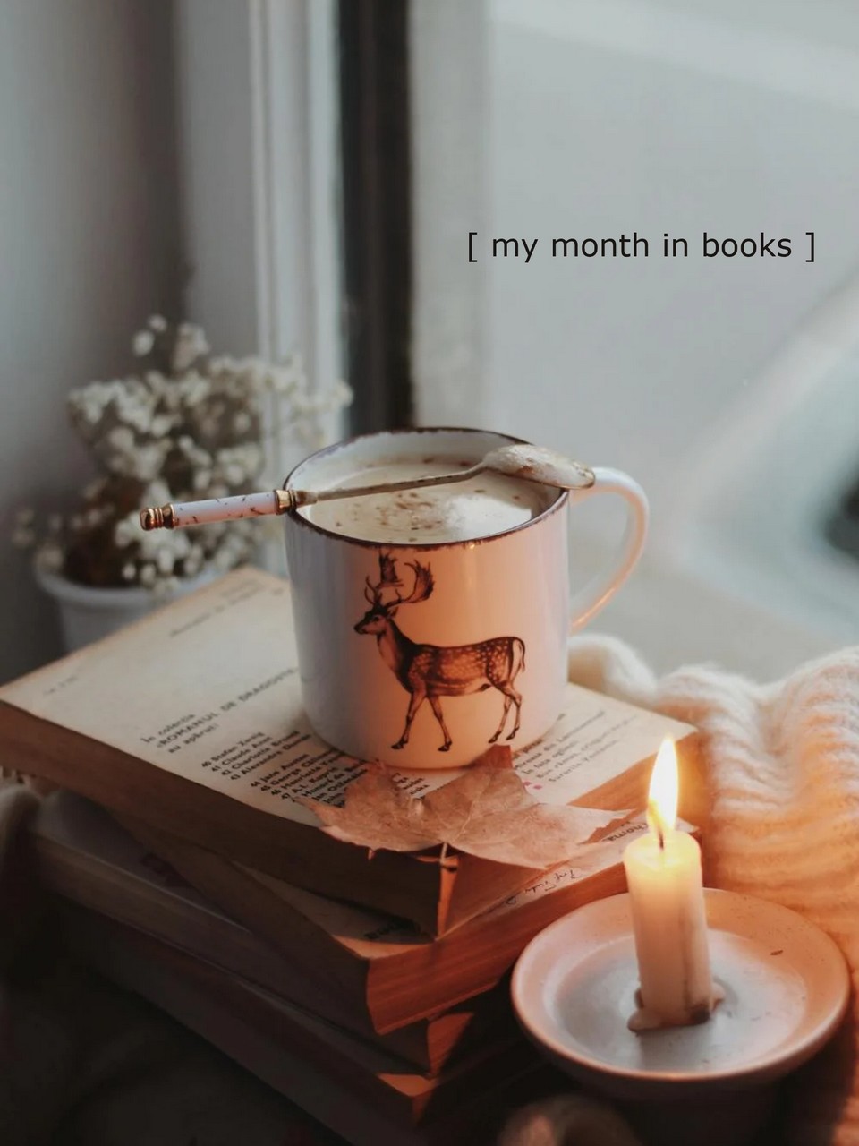My Month in Books | November&nbsp;2024
