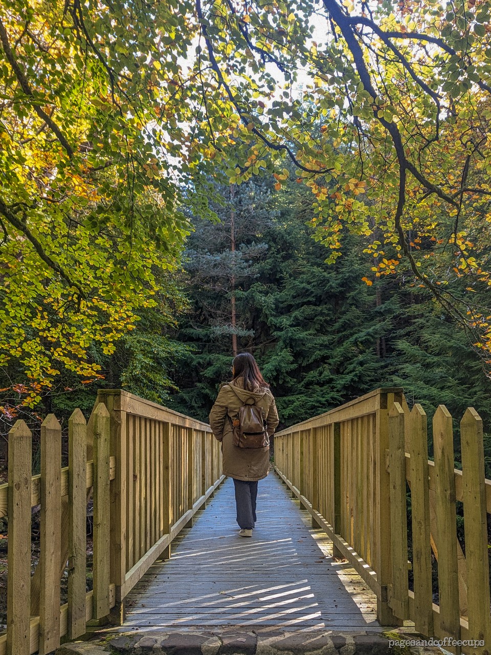 Photo Diary: Chasing Fall (Tollymore,&nbsp;2024)